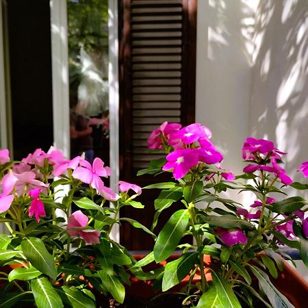 Domus Vetriera Apartment Palermo Exterior photo