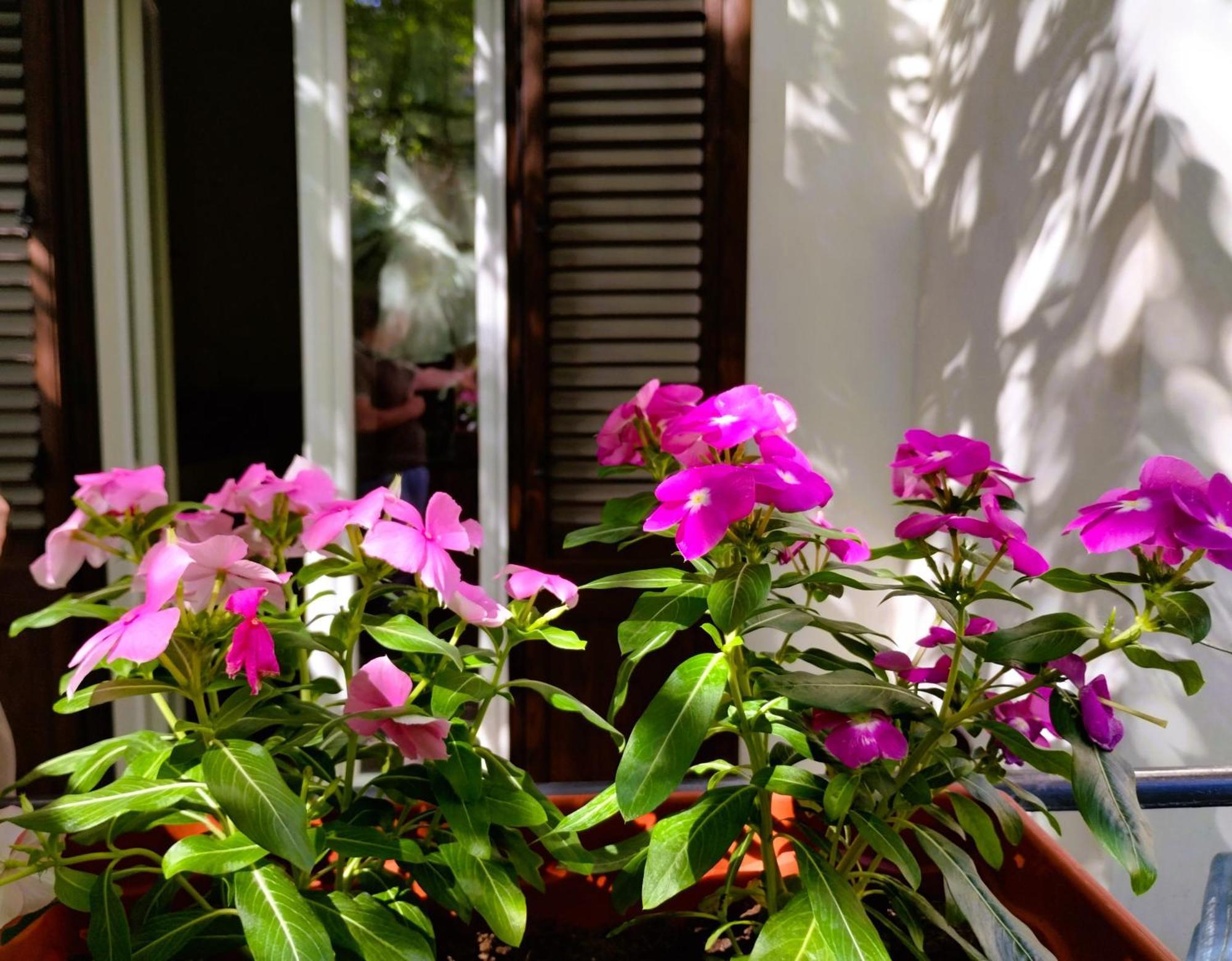 Domus Vetriera Apartment Palermo Exterior photo